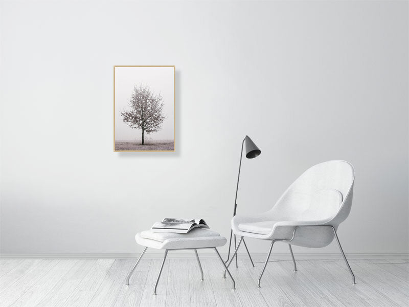 Clean white room. White chair and white table in the middle. Colorful picture of lonely oak in a frame on the wall.