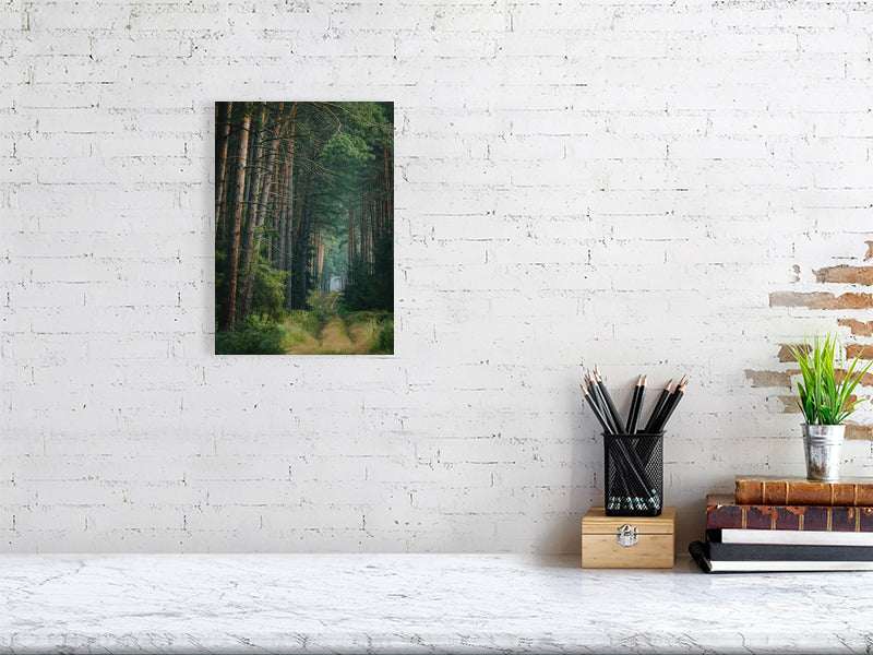 marble counter, on the right side of it a stack of several books, a container with writing implements and a small plant. On the left side, on the wall, a printed photo of a forest road full of pine trees.