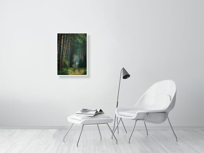 white clean room. White chair and white table in the middle. Behind, on the wall, photo in a fram. Photography of the forest road.