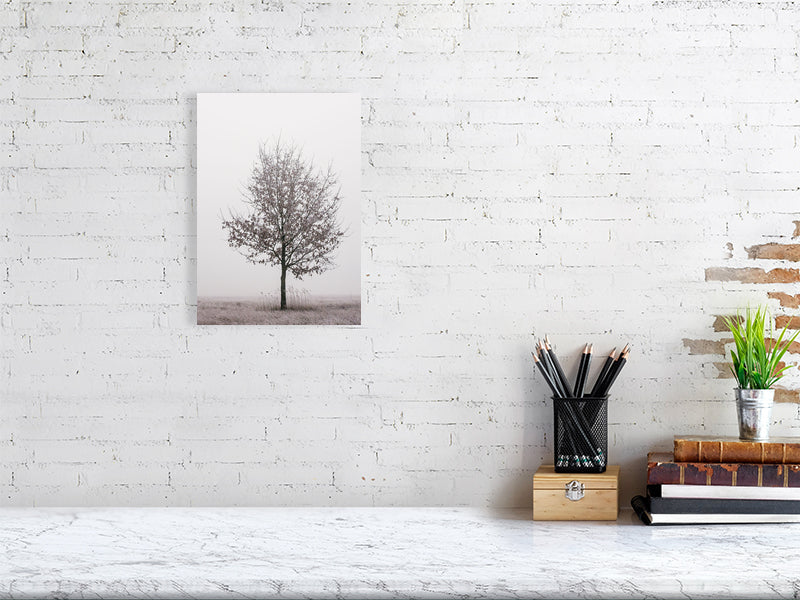 marble counter, on the right side of it a stack of several books, a container with writing implements and a small plant. On the left side, on the wall, a printed photo of an oak tree.