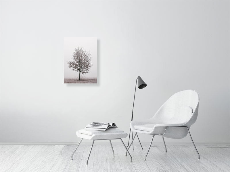 Clean white room. White chair and white table in the middle. Colorful picture of lonely oak in a frame on the wall.