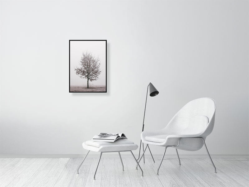 Clean white room. White chair and white table in the middle. Colorful picture of lonely oak in a frame on the wall.